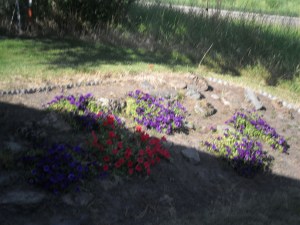 Montana and West Coast Vacation 084