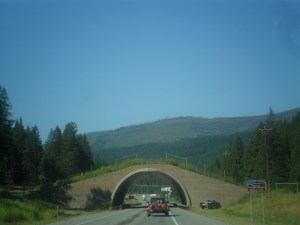 Montana and West Coast Vacation 596